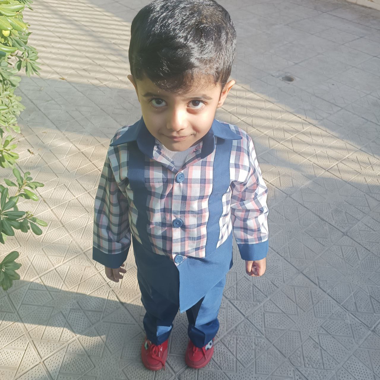 تای سیز- ابمیوه پاکتی انبه